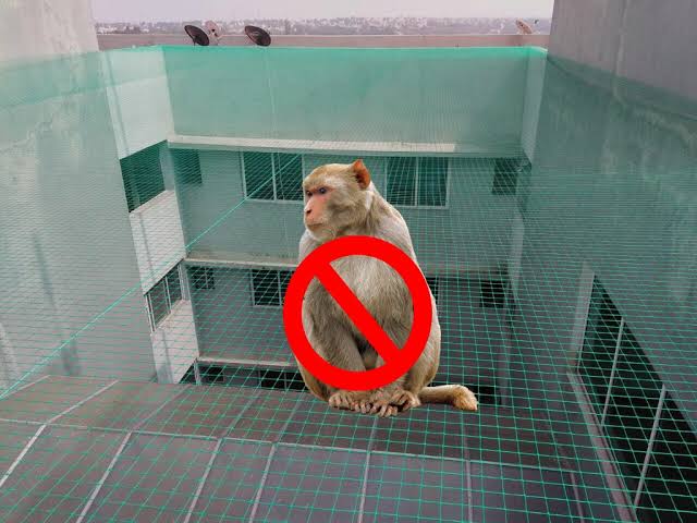 Heavy Duty Monkey Protection