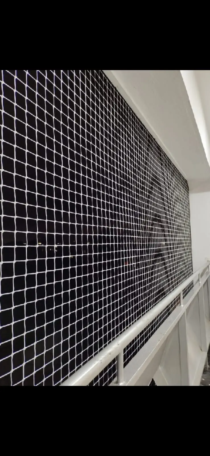 Apartment Pigeon Netting